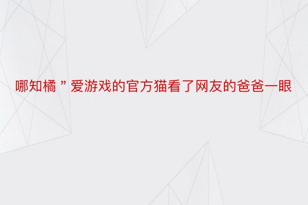 哪知橘＂爱游戏的官方猫看了网友的爸爸一眼